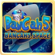 bancah5biz1 profile image