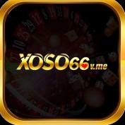 xoso66vme profile image