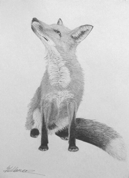 My latest achievement with simple graphite pencils, you too can feel proud of yourself!