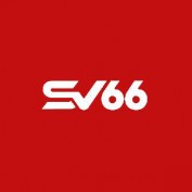 sv66us profile image