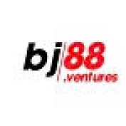 bj88ventures profile image