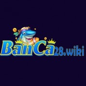 banca28wiki profile image