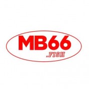 mb66fish profile image