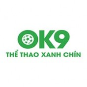ok9soccer profile image