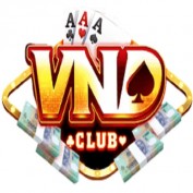 vndclub profile image