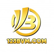 bvmcom123 profile image
