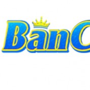 bancaist profile image