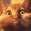Goldfishrock profile image