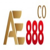 ae888cohome profile image