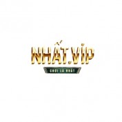 nhatvipnetwork profile image