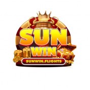 sunwinflights profile image