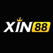 xin88agency profile image