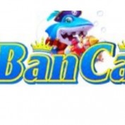 banca28comvc profile image