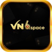 vn6space profile image