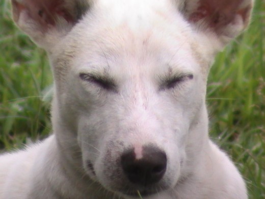 Awww!!! says Maldita
