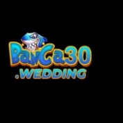 Banca30 Wedding profile image