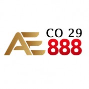 ae88829 profile image