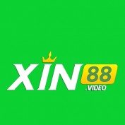 xin88video profile image