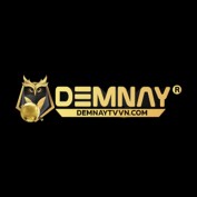 demnaytvvncom profile image