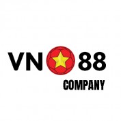 vncom profile image