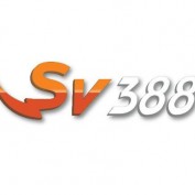 sv388repair profile image