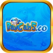 bancah5tech profile image