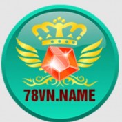 the78vnname profile image