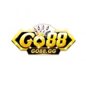 go88runn profile image