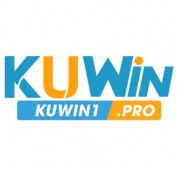 kuwin1pro profile image