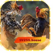 sv288house profile image