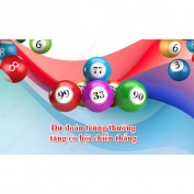 dubaotrungthuong profile image