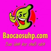 baocaosuhp01 profile image