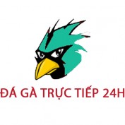 dagatructiepcamweb profile image