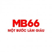mb66pcom profile image