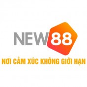 new88couk profile image