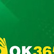 ok365agency profile image