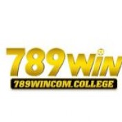 bay89wincomcollege profile image
