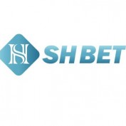 shbetsbiz profile image