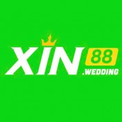 xin88wedding profile image
