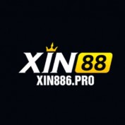 xin886pro profile image