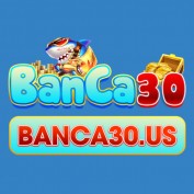 banca30us profile image
