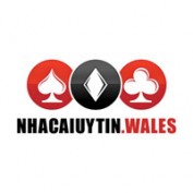 nhacaiuytinwales profile image