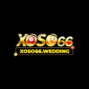 xoso66wedding profile image