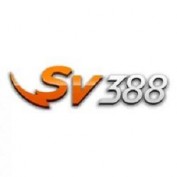 sv388vnhost2024 profile image