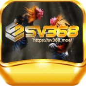 sv368moe profile image
