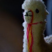 Jemma Hulbert profile image