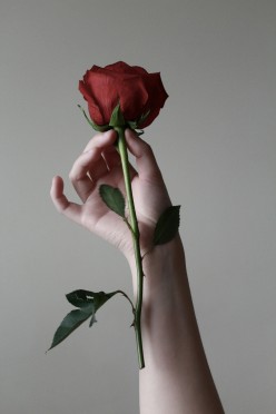 No Bed of Roses: A Poem