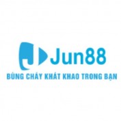 jun881vcom profile image