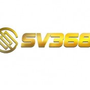 sv368tq profile image