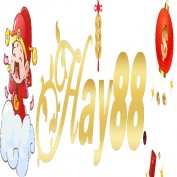 haytamtam profile image